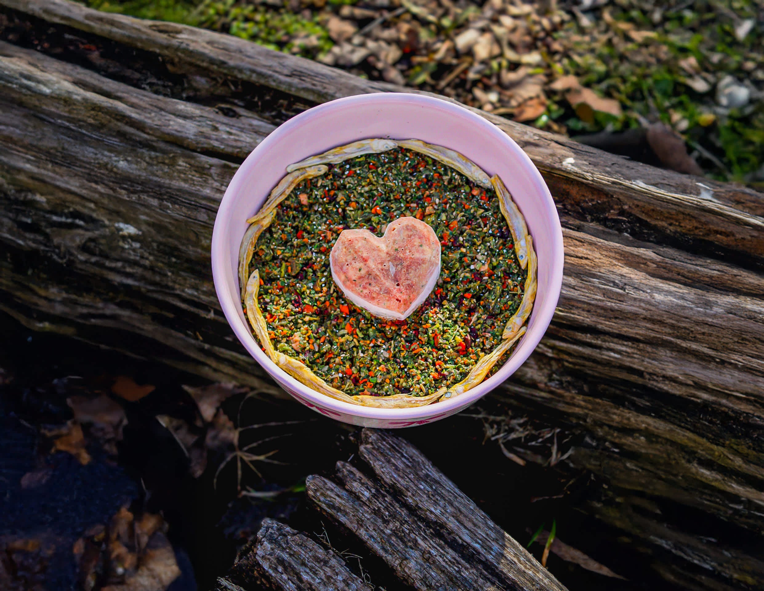 A Bowl of Love: Nourish Your Pup with Care
