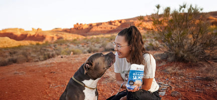 The Dr. Harvey’s Difference: Premium Treats Made Simple