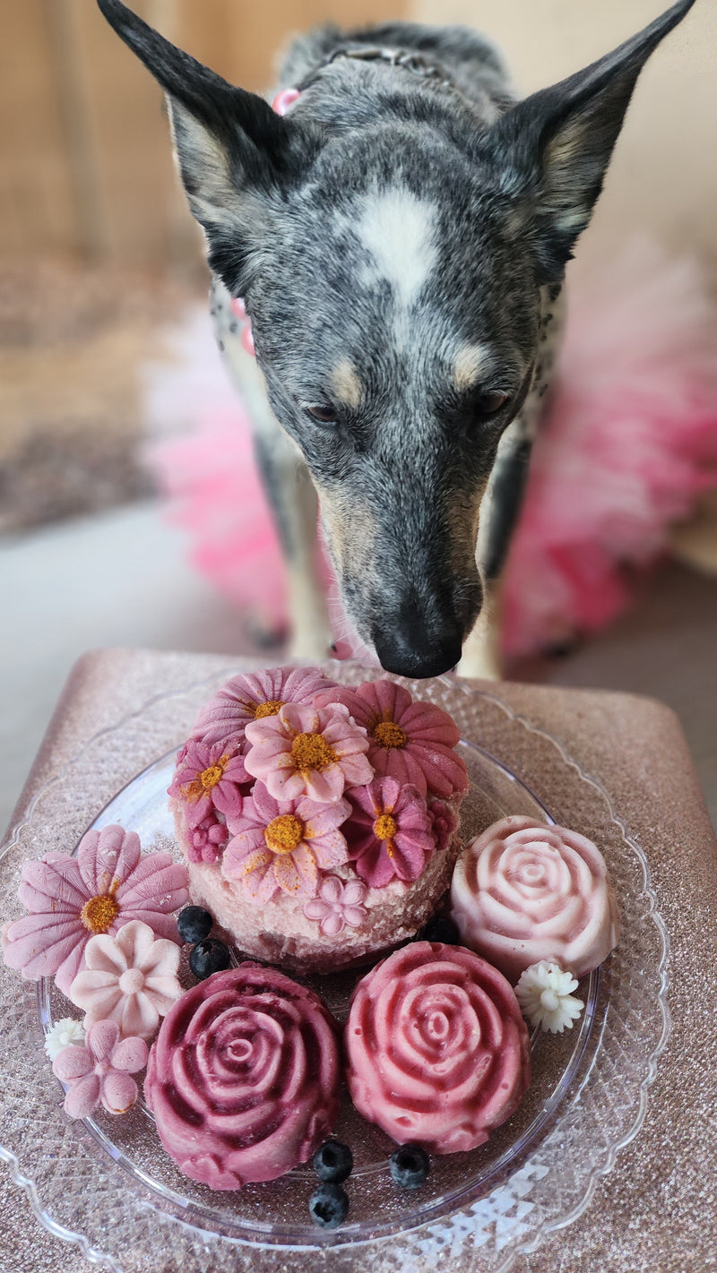 Blooming Pupcake Recipe