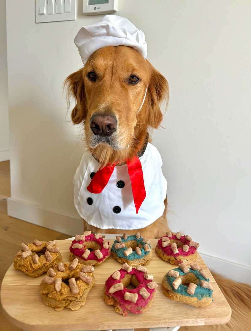 Doggie Donuts