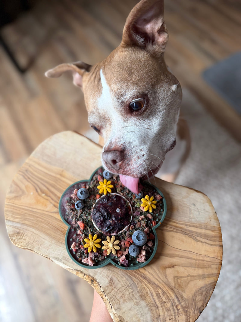 Fall Harvest Bowl