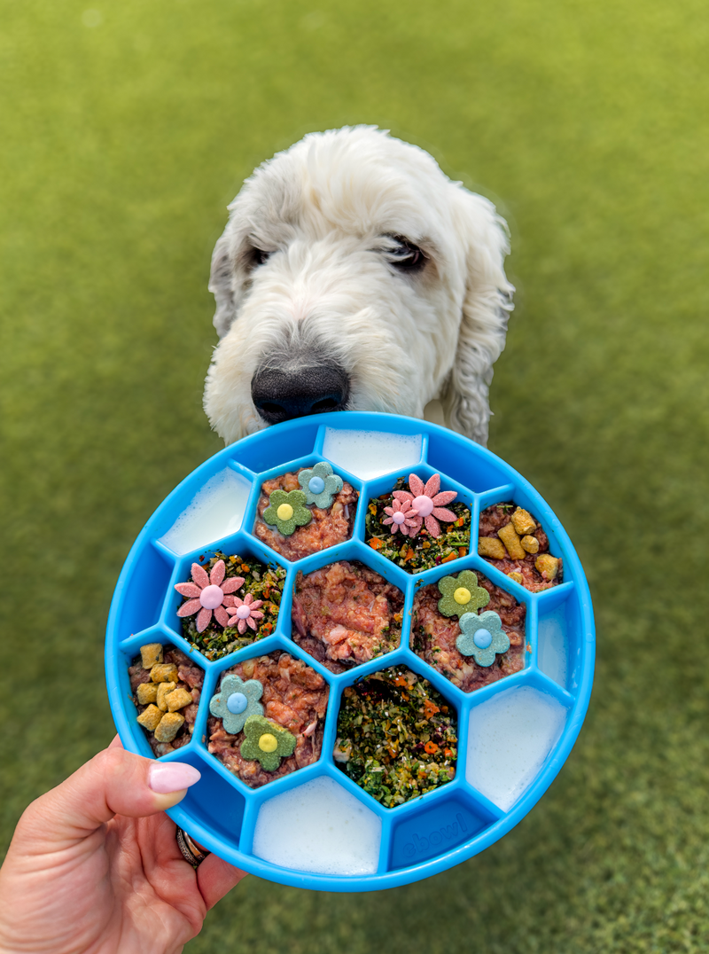 Hydrating Bloom Bowl Recipe