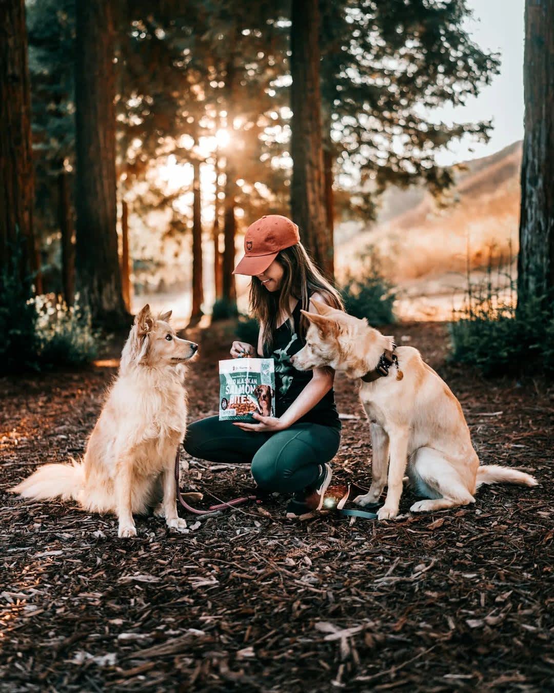 Road Trip with Dogs (Plus 10 Travel Safety Tips)