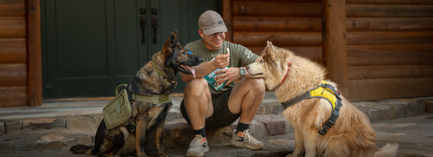 Unleashing Canine CounterStories Part 12: Choice, Glorious Choice!