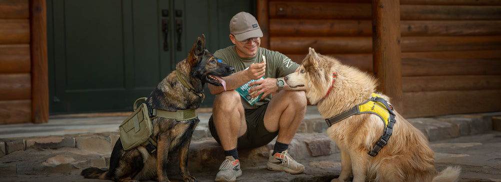 Unleashing Canine CounterStories Part 12: Choice, Glorious Choice!