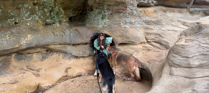 Unleashing Canine CounterStories Part 14: Commands vs. Cues
