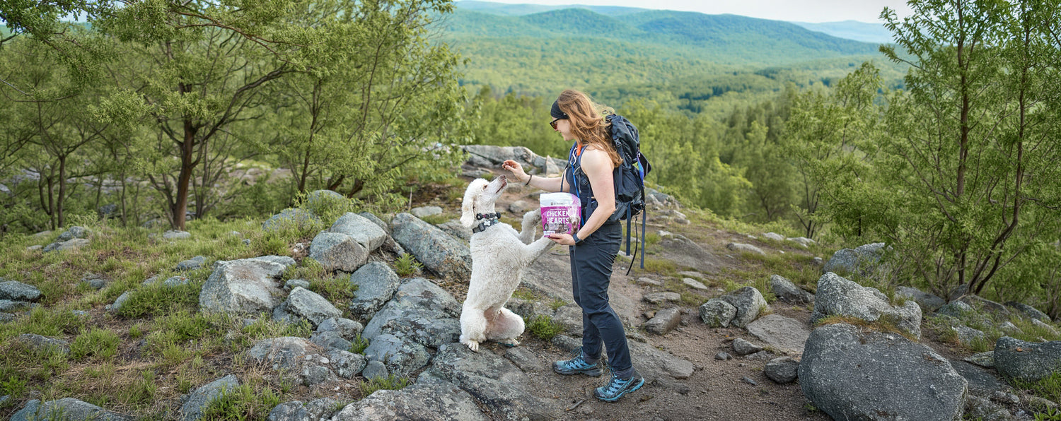 Unleashing Canine CounterStories Part 10: ENRICH Your Dog’s Mind, Body, and Soul
