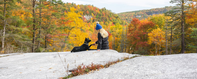 Unleashing Canine CounterStories Part 5: (Love) Language is Power