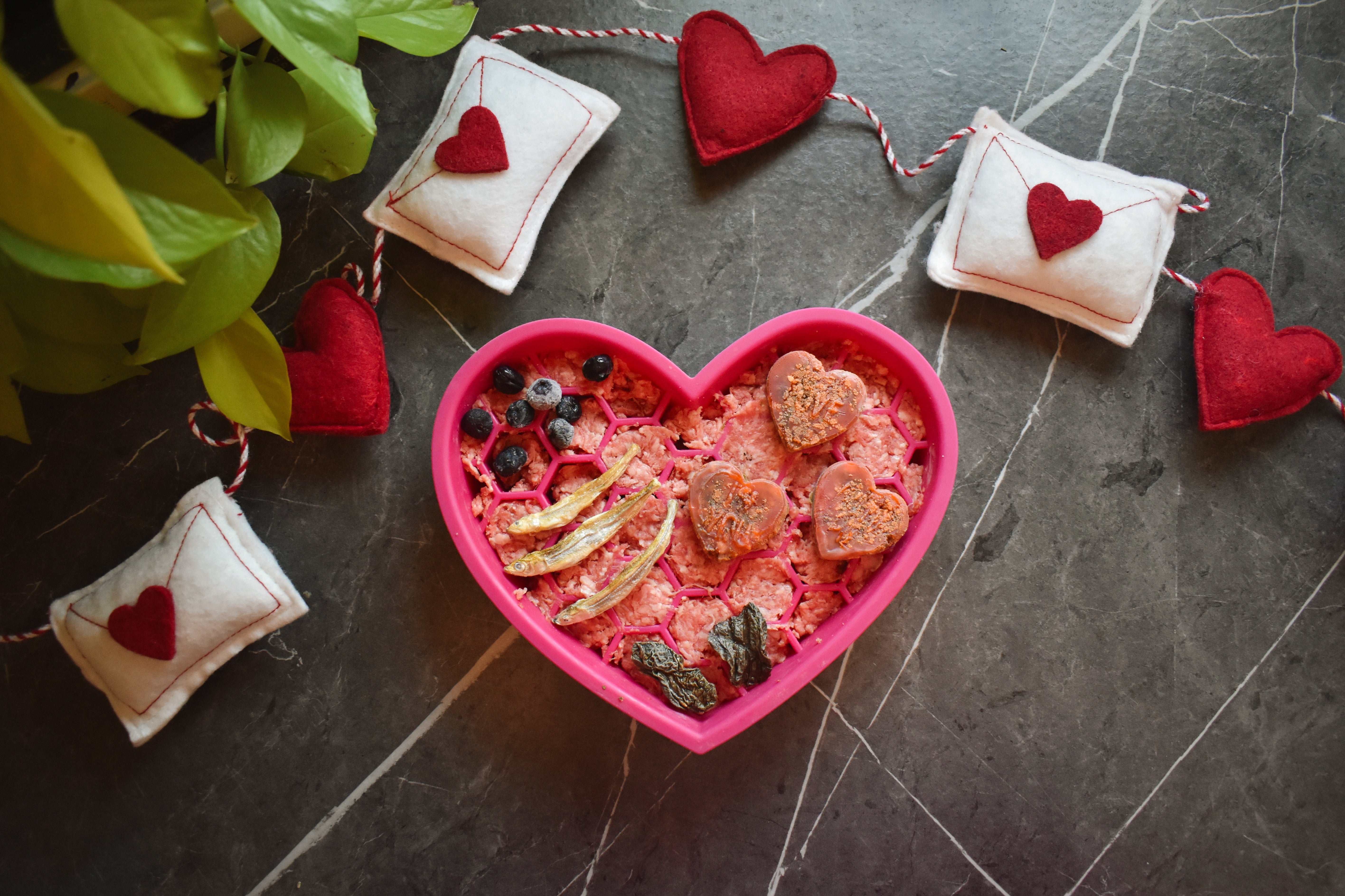 Don’t Have a Date for Valentine’s Day? Don’t Count Your Pup Out!