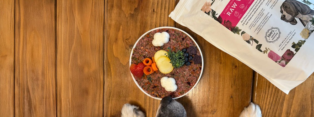 How to Prep Dr. Harvey’s Meals Ahead of Time