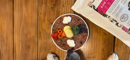 How to Prep Dr. Harvey’s Meals Ahead of Time