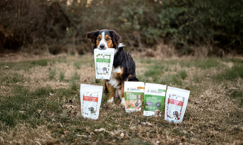 Discover Dr. Harvey's Trials: The Perfect Way to Find Your Dog's Favorite Meal