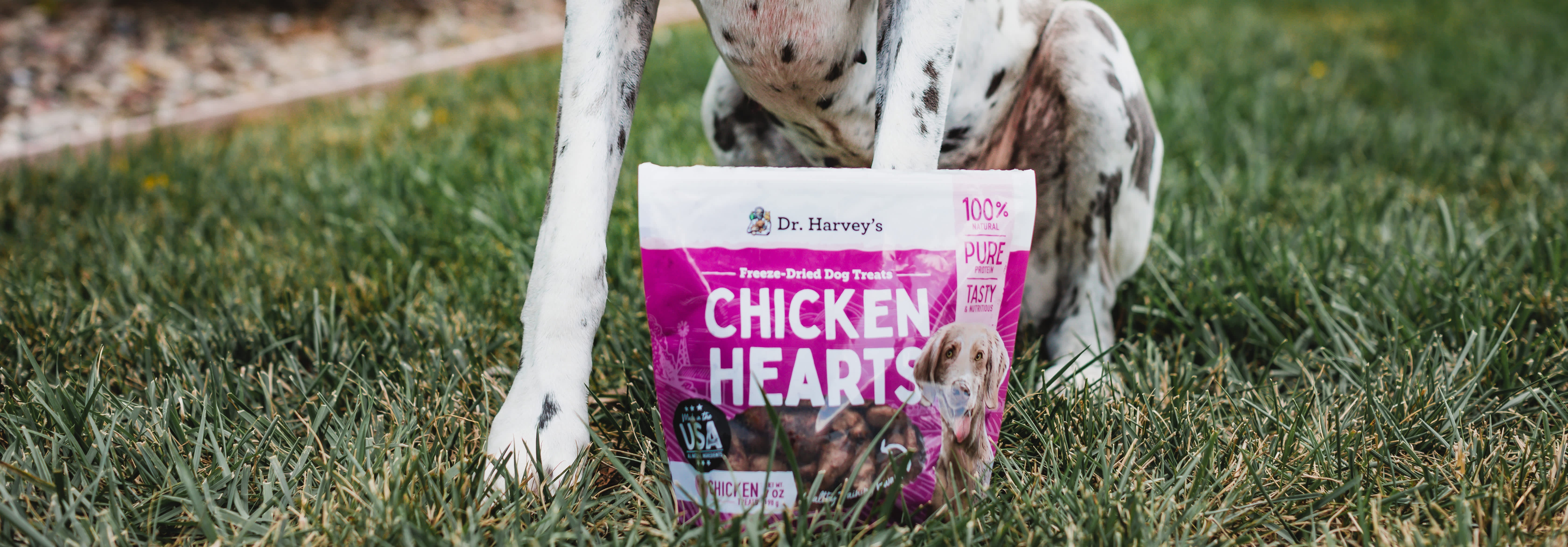 Hearty Solutions: Dr. Harvey’s Chicken Hearts - The Ultimate Pill Pocket Substitute