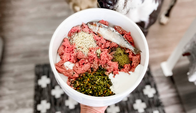 Raw Food Diet For Dogs: Supercharge Your Dog's Nutrition