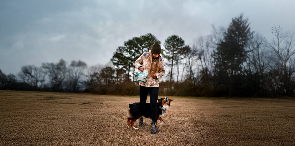 Unleashing Canine CounterStories Part 6: Cool to Be Kind – Positive Reinforcement, Please!