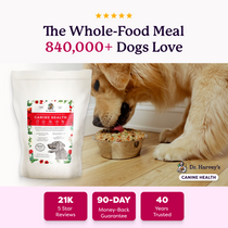 Dr. Harvey's Canine Health dog food pre-mix bag beside a golden retriever eating from a bowl, with 5-star and trust badges