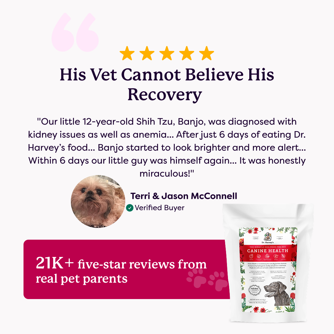 Five-star customer review for Dr. Harvey's Canine Health dog food pre-mix featuring a Shih Tzu photo and 21K+ reviews claim.
