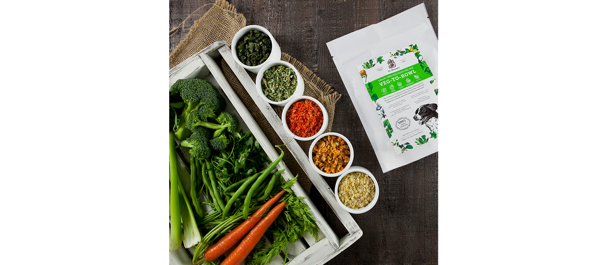 Dr. Harvey's Veg-to-Bowl grain-free dog food pre-mix bag beside fresh vegetables and bowls of dried ingredients