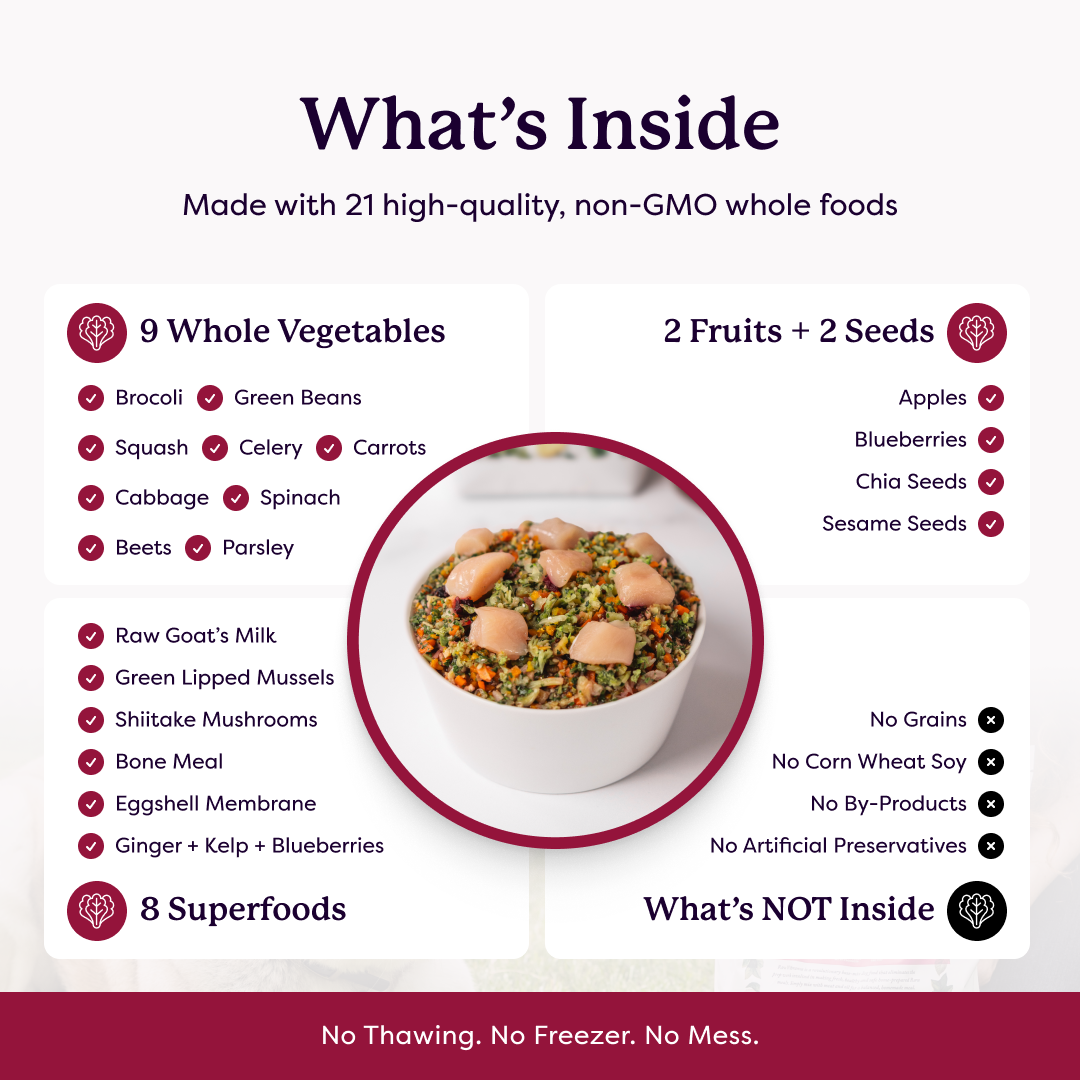 Infographic listing 21 non-GMO whole food ingredients including 9 vegetables, 2 fruits, 2 seeds, and 8 superfoods in pet food
