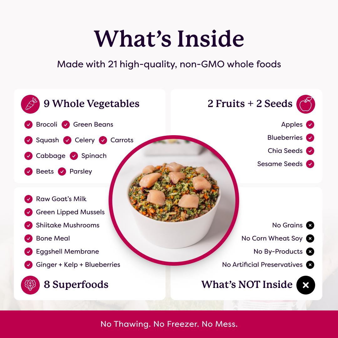 Infographic listing 21 non-GMO whole food ingredients including 9 vegetables, 2 fruits, 2 seeds, and 8 superfoods in a pet food bowl