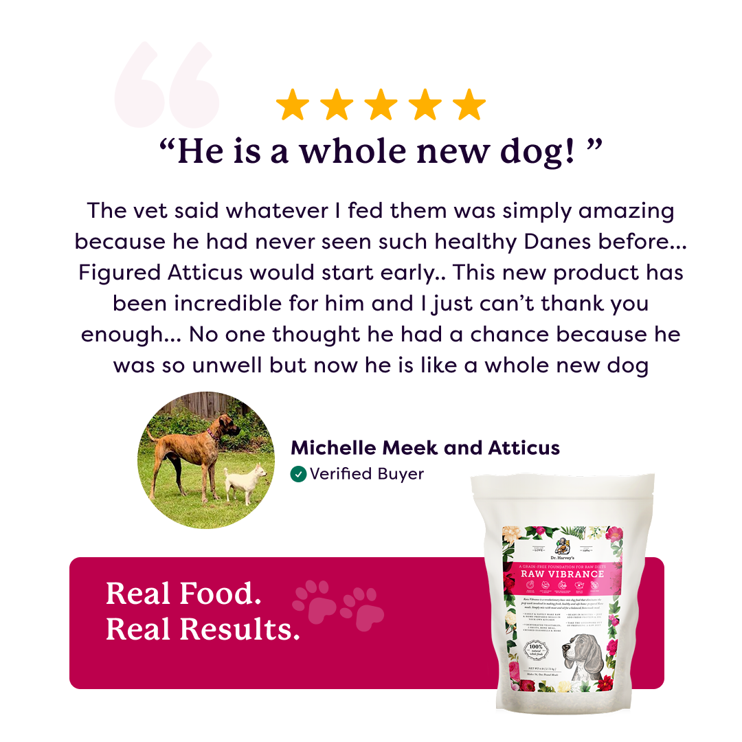 Five-star customer review for Dr. Harvey's Raw Vibrance grain-free dog food featuring a Great Dane and white puppy photo.