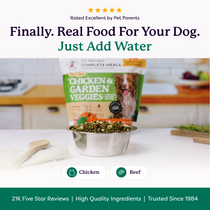 Dr. Harvey's Complete Meals Chicken & Garden Veggies freeze-dried dog food bag with a bowl of rehydrated food on a kitchen counter.