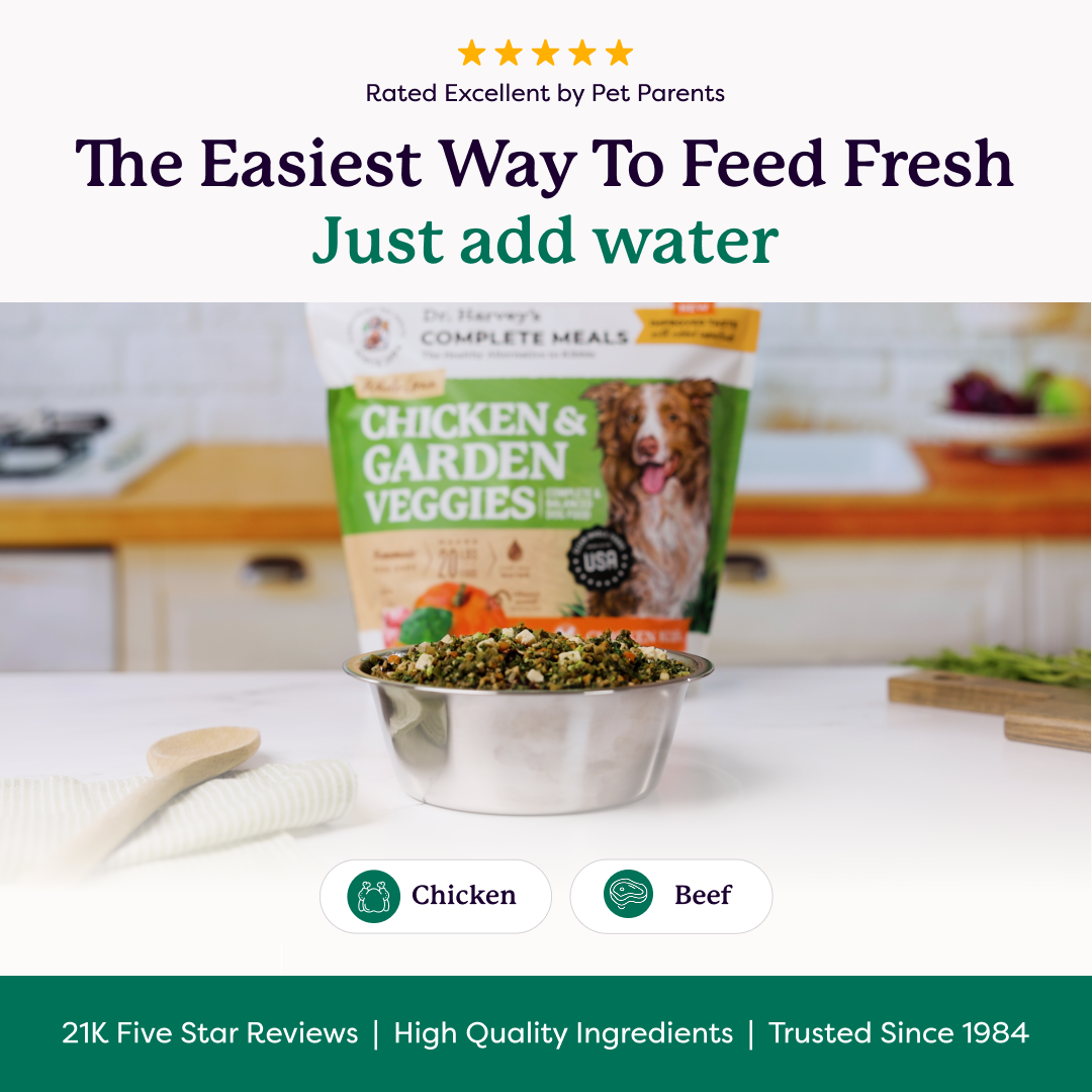 Dr. Harvey's Complete Meals Chicken & Garden Veggies freeze-dried dog food bag with a bowl of rehydrated food on a kitchen counter.