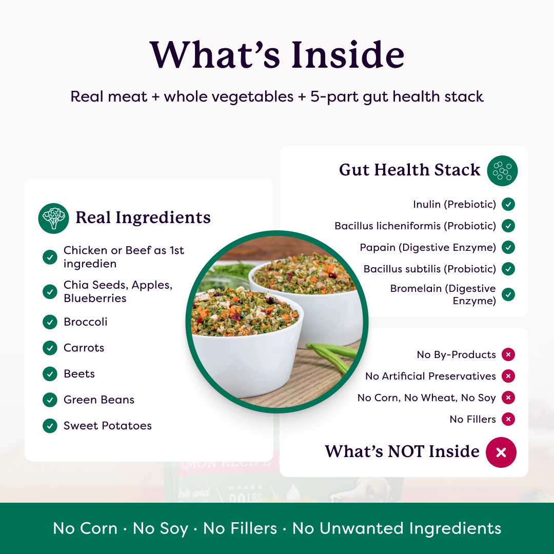 Infographic listing real dog food ingredients including chicken, vegetables, and a 5-part gut health stack with no fillers or by-products.