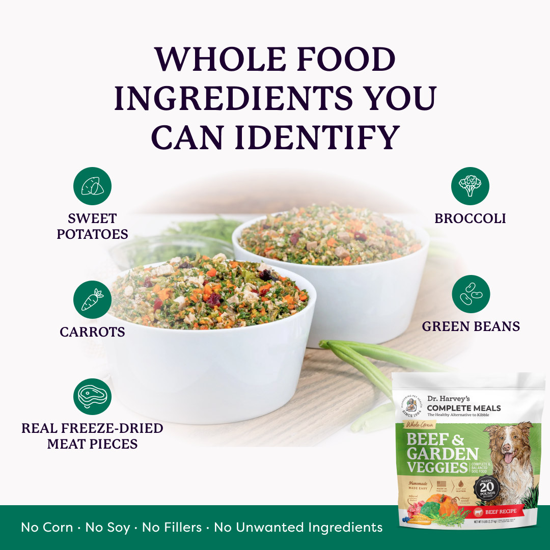 Dr. Harvey's Beef & Garden Veggies dog food ad showing two bowls with whole food ingredients: sweet potatoes, carrots, broccoli, green beans, freeze-dried meat.