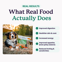 Bernese Mountain Dog with Dr. Harvey's Beef & Garden Veggies Complete Meals bag; text lists real food benefits for dogs