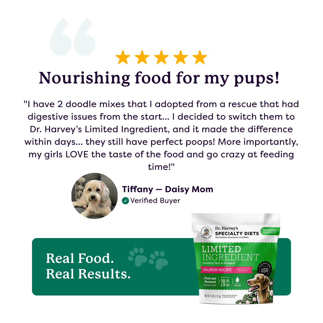 5-star customer review for Dr. Harvey's Limited Ingredient Salmon Recipe dog food with fluffy white doodle photo