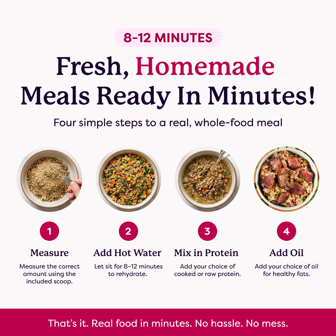Four-step infographic: measure, add hot water, mix in protein, add oil for homemade pet meals in 8–12 minutes