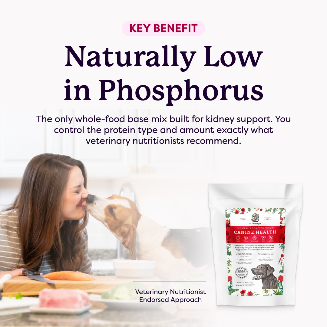 Dr. Harvey's Canine Health dog food pre-mix bag beside a woman kissing her dog, with text "Naturally Low in Phosphorus