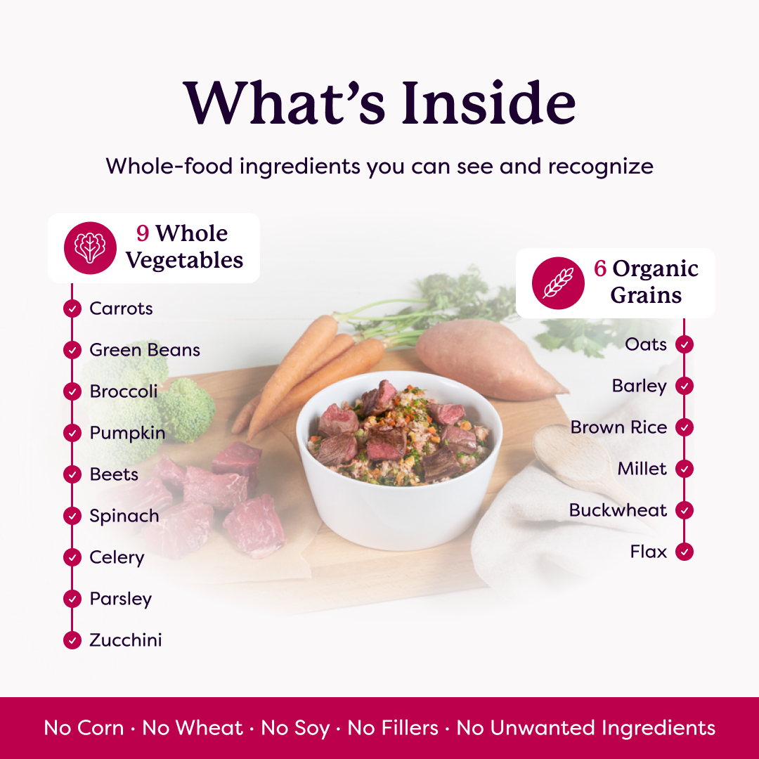Infographic listing 9 whole vegetables and 6 organic grains in dog food, with no corn, wheat, soy, or fillers