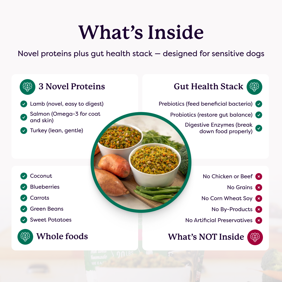 Infographic listing dog food ingredients: 3 novel proteins, gut health stack, whole foods, and what's not inside