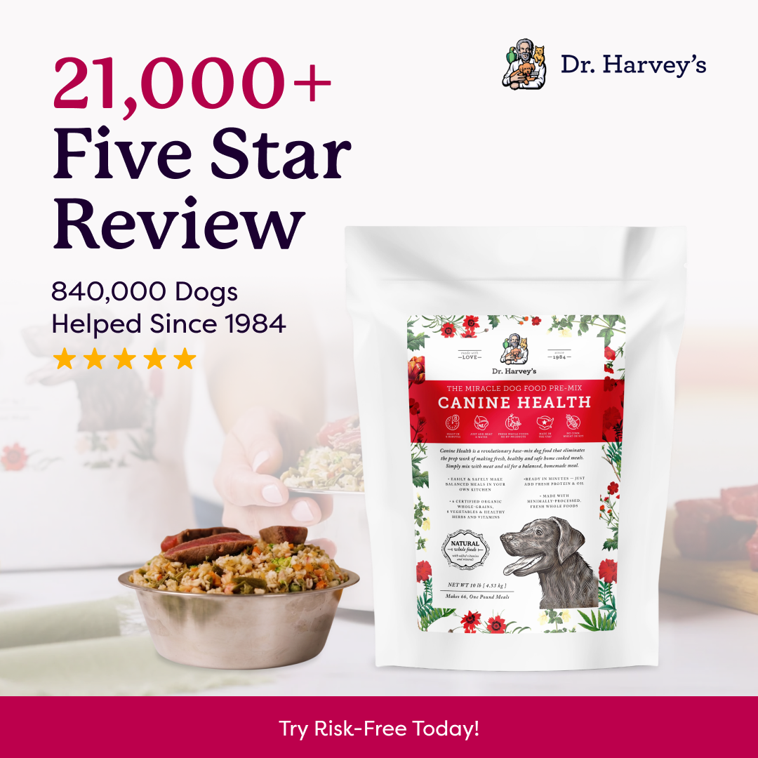 Dr. Harvey's Canine Health dog food pre-mix bag with 21,000+ five-star reviews, bowl of fresh food beside it.