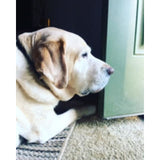 Annie and Bear