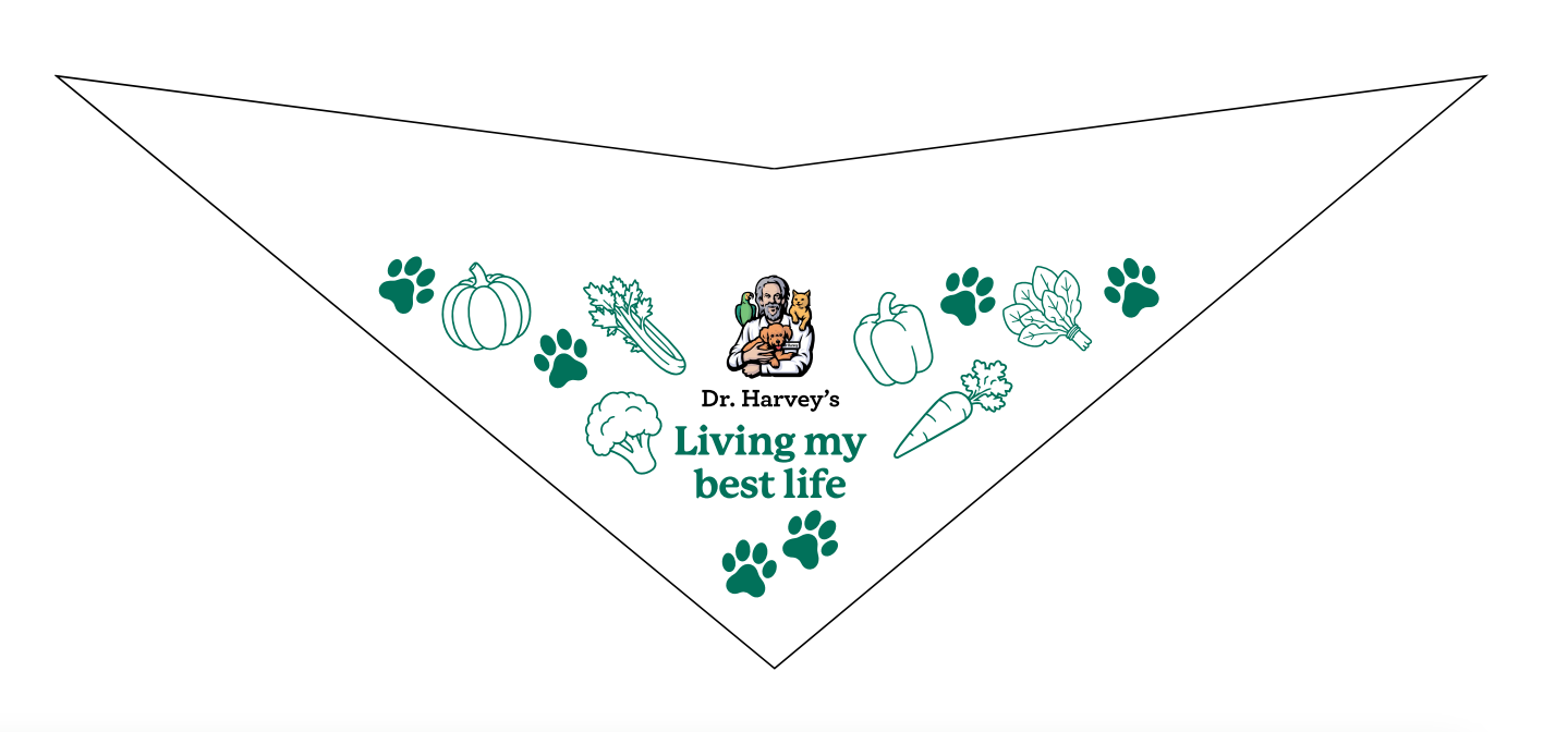 Dog Bandana