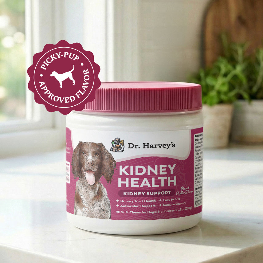 Dr. Harvey's Kidney Health soft chews for dogs, 90-count jar with peanut butter flavor and 