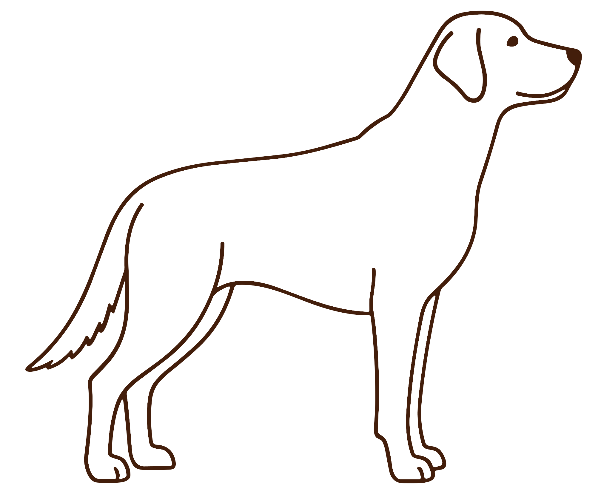 Line drawing outline of a Labrador Retriever dog standing in profile view