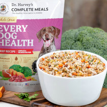 Dr. Harvey's Every Dog Health Beef Recipe dog food bag beside a white bowl of prepared meal and fresh broccoli.