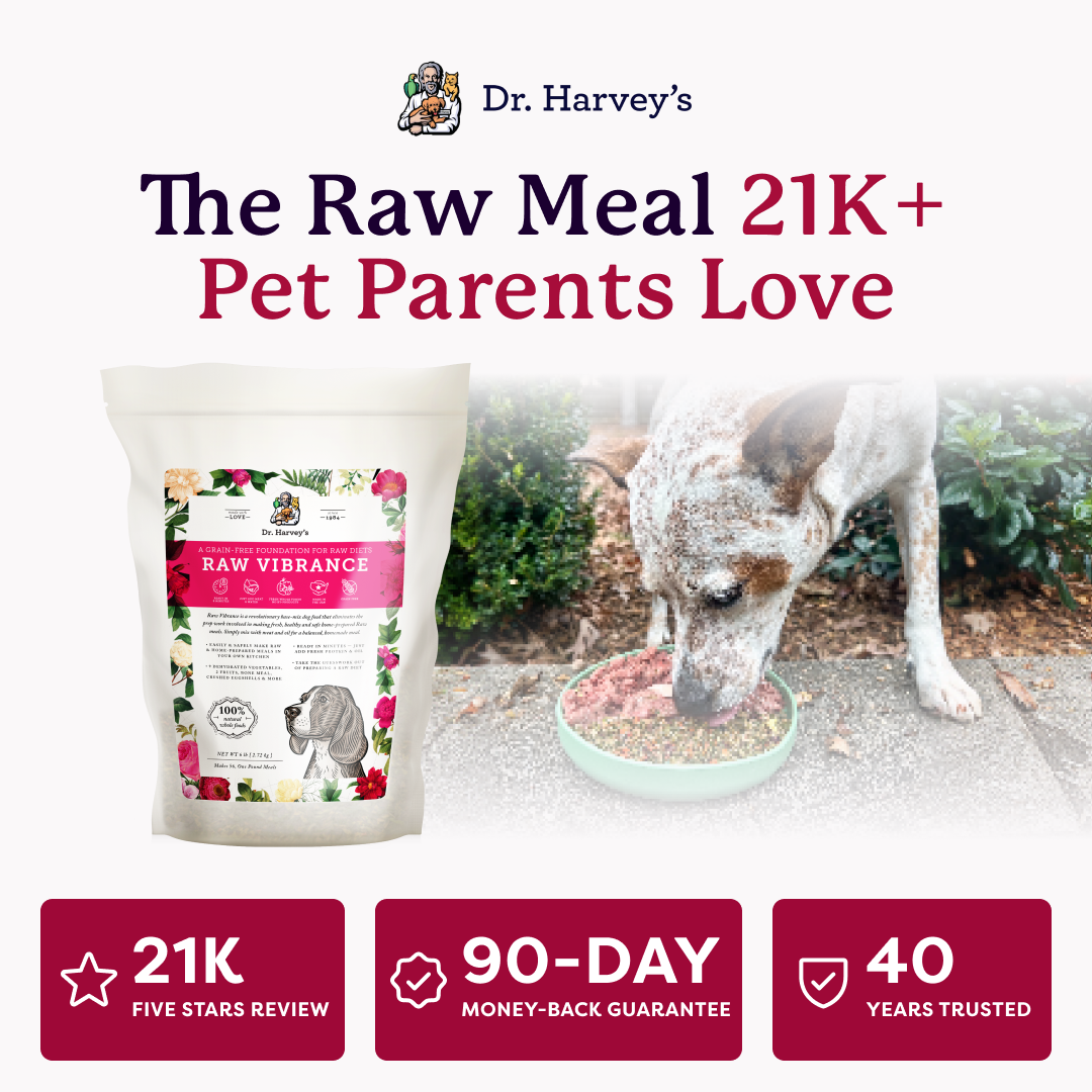 Dr. Harvey's Raw Vibrance dog food bag beside a dog eating from a bowl, with 21K reviews, 90-day guarantee badge.