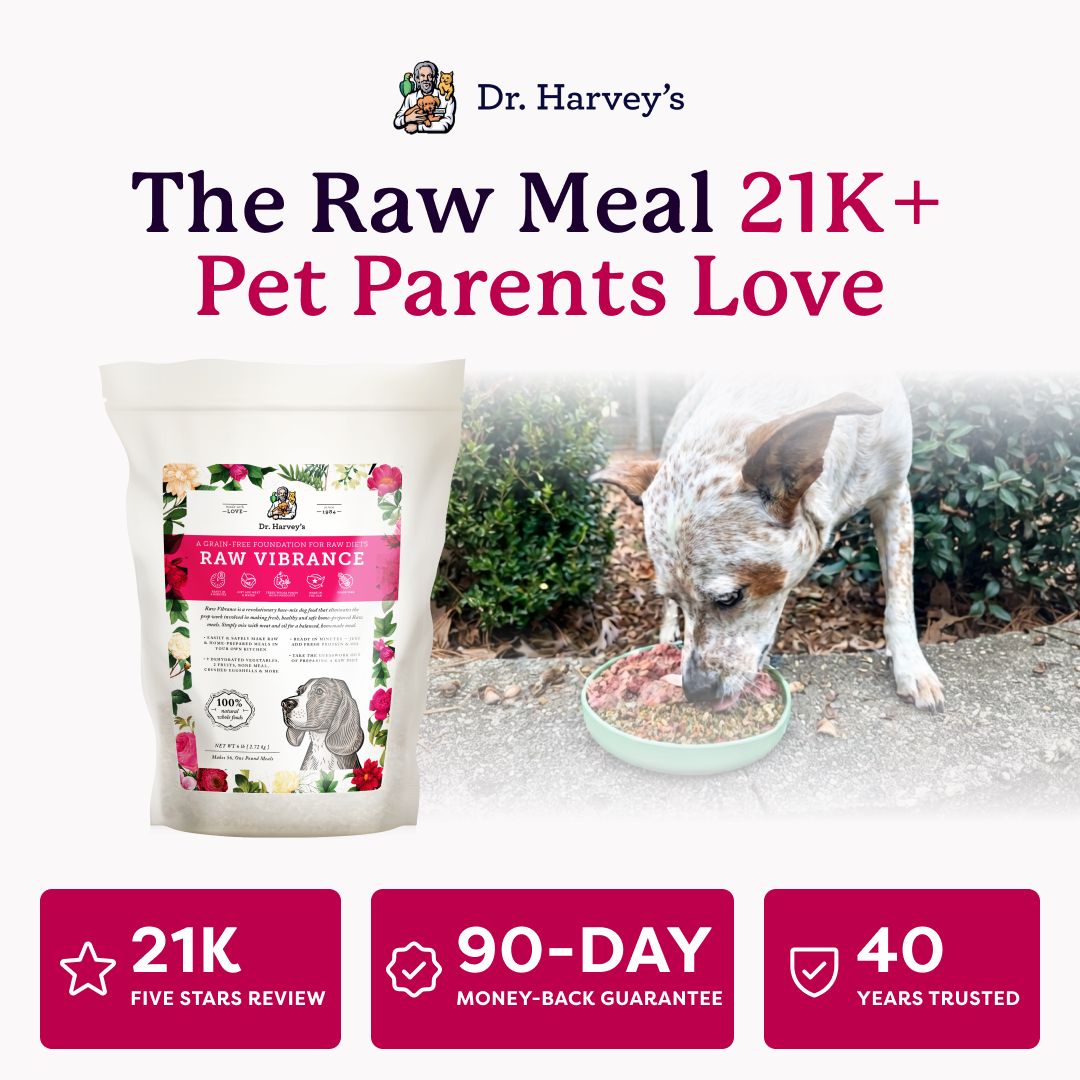 Dr. Harvey's Raw Vibrance grain-free dog food bag beside a dog eating from a bowl, with 21K reviews badge.