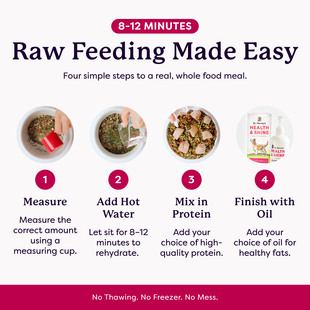 Infographic: Raw Feeding Made Easy — 4 steps: measure, add hot water, mix in protein, finish with oil