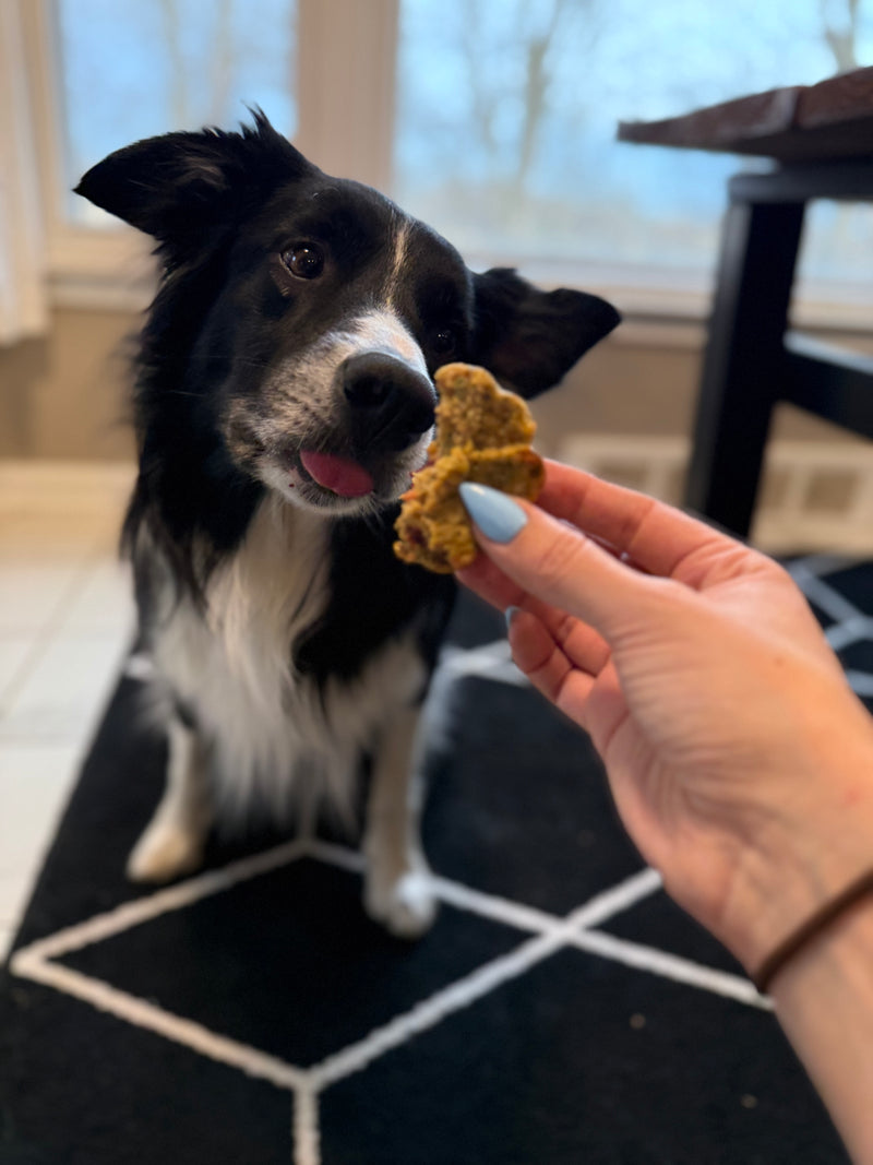 Spring Blossom Pupcakes