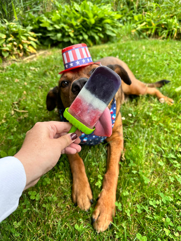 Red, White & Blue Pup Pops