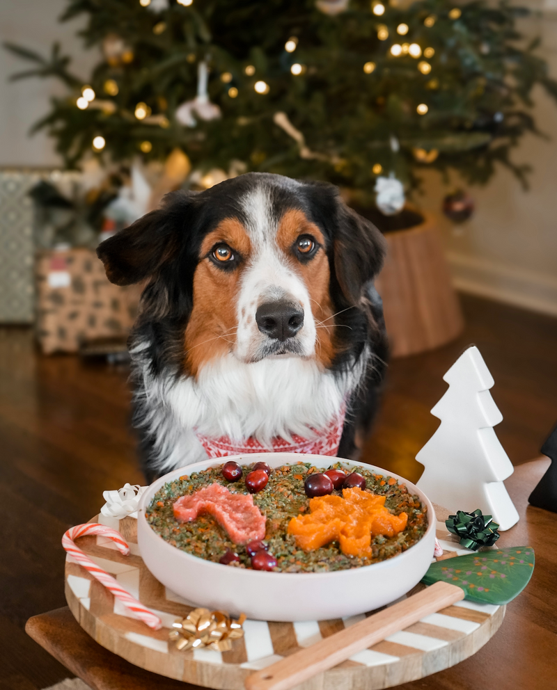 Jolly Bowl Recipe