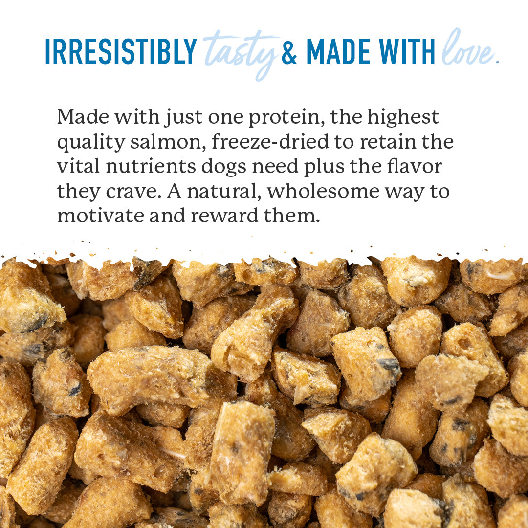 Wild Alaskan Salmon Bites – Dr. Harvey's