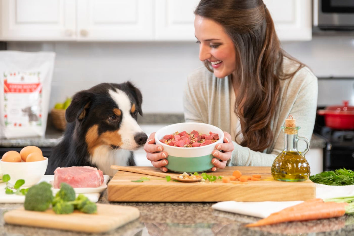Woman smiling and offering a bowl of raw dog food to a tri-color Australian Shepherd in a kitchen