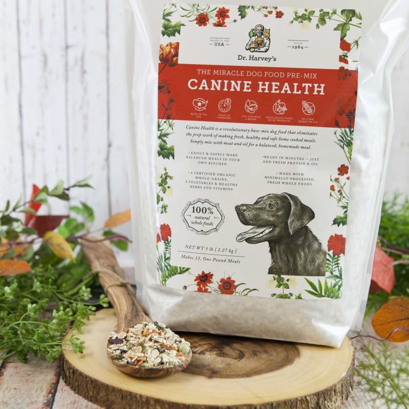 Processed Kibble? Consider Alternatives!